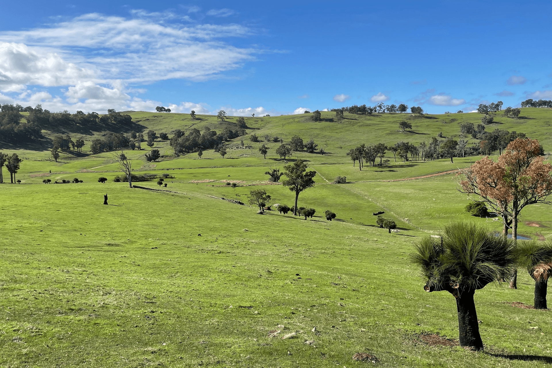 Lot 2062 Chapman Road, Yabberup, WA 6239