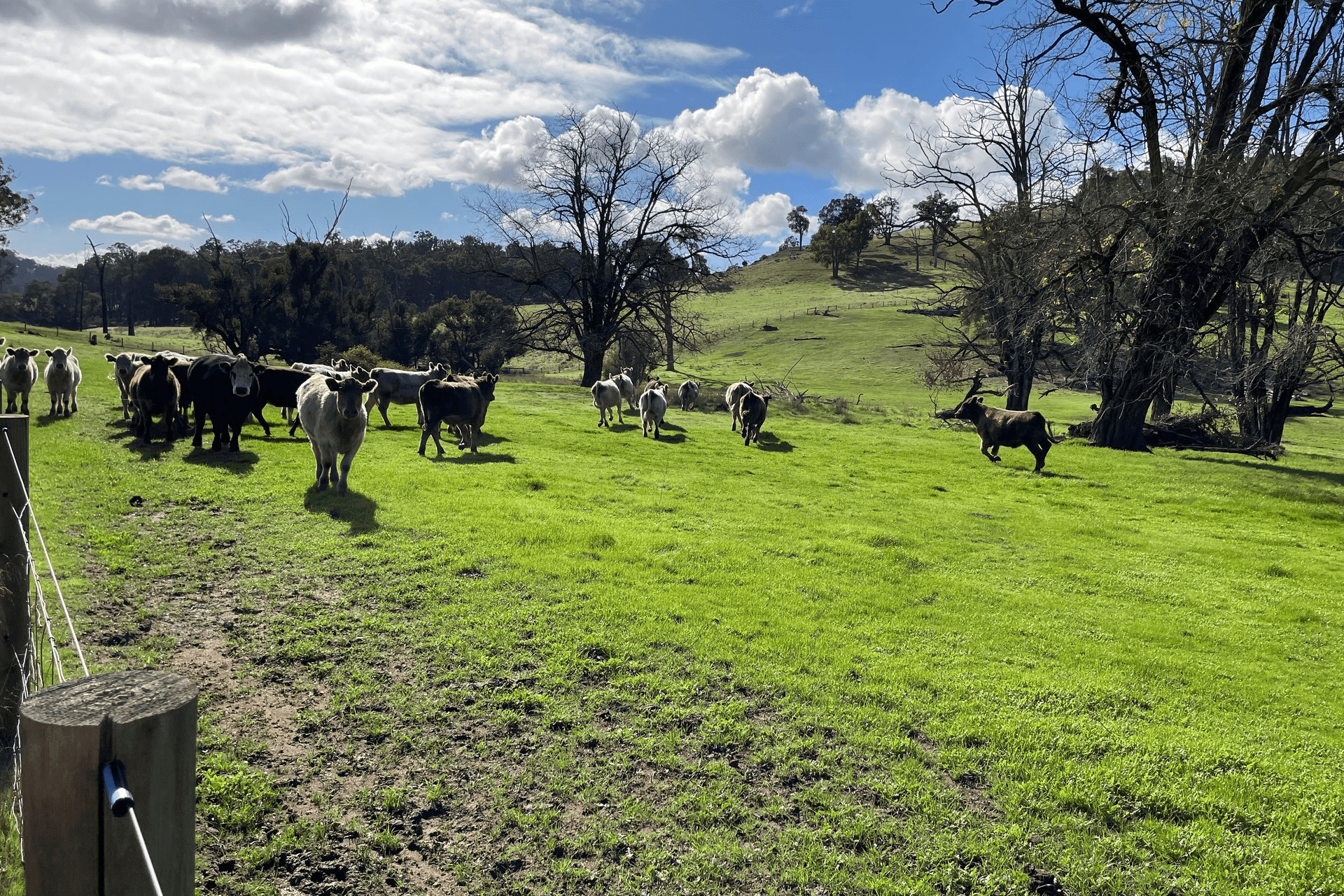 Lot 2062 Chapman Road, Yabberup, WA 6239