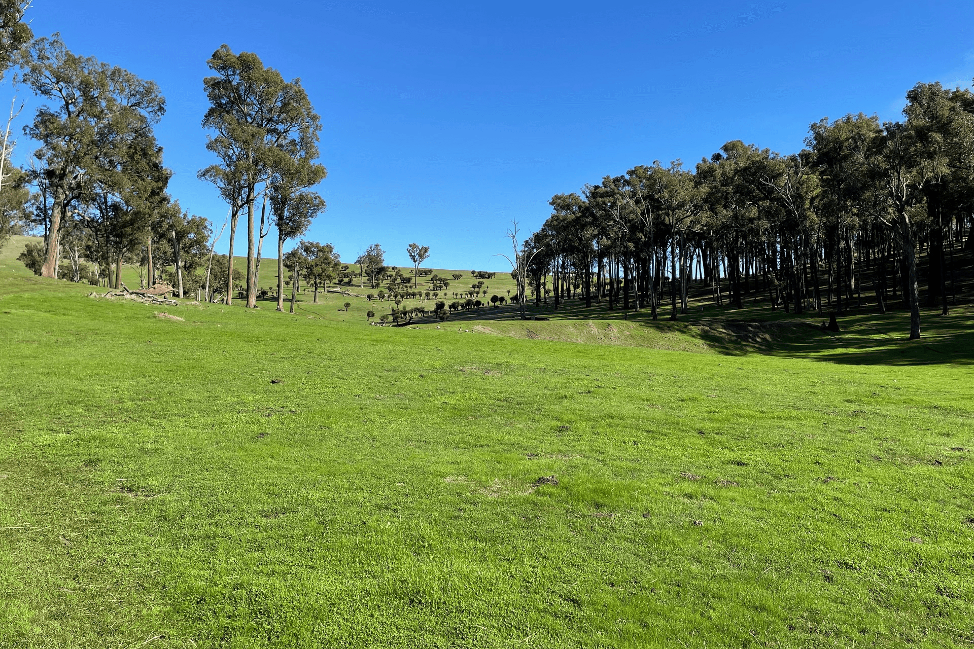 Lot 2062 Chapman Road, Yabberup, WA 6239