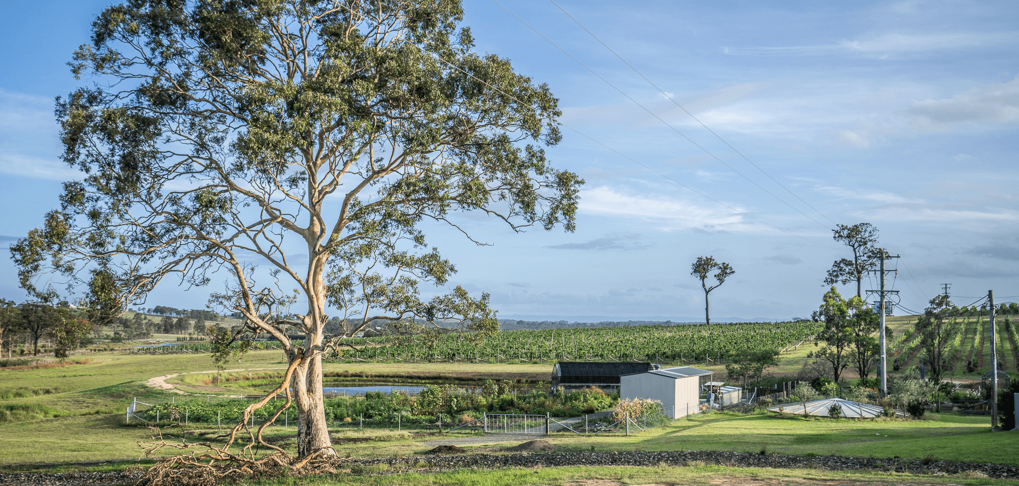 273 Sweetwater Road, BELFORD, NSW 2335