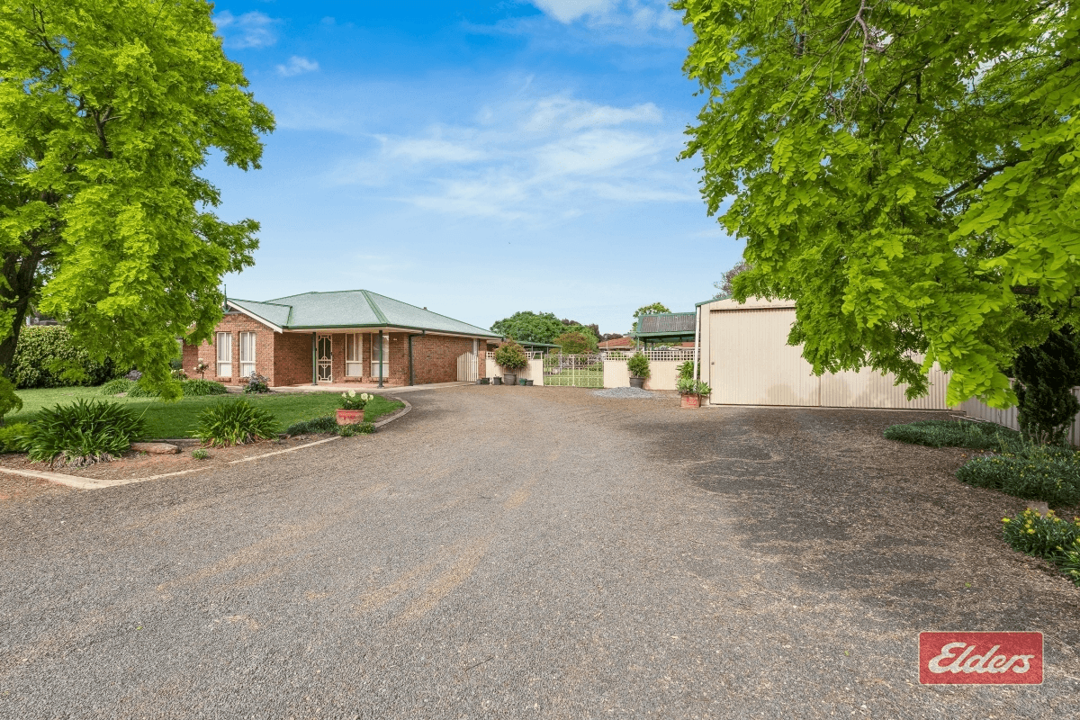 1 Lacebark Court, Freeling, SA 5372