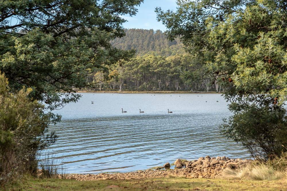 172 Woodwards Bay Road, Bradys Lake, TAS 7140