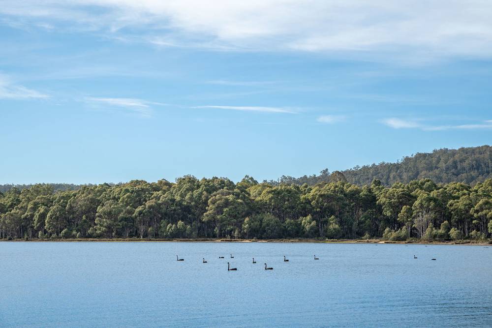 172 Woodwards Bay Road, Bradys Lake, TAS 7140