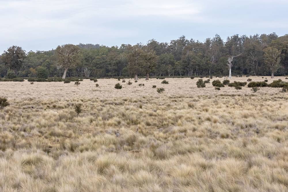 172 Woodwards Bay Road, Bradys Lake, TAS 7140