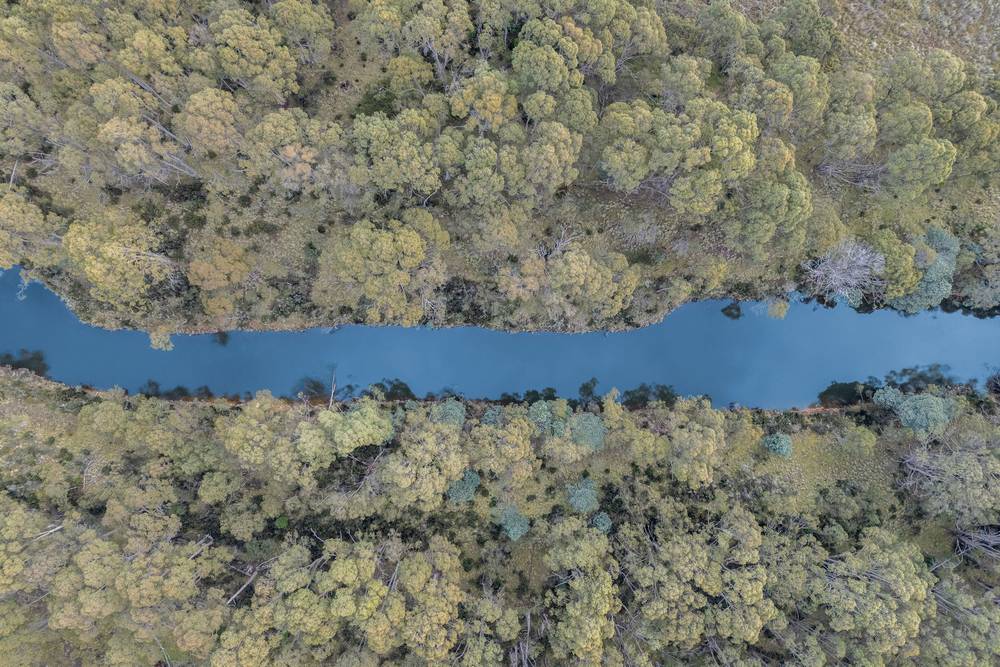 172 Woodwards Bay Road, Bradys Lake, TAS 7140