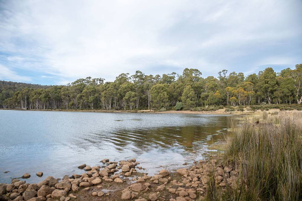 172 Woodwards Bay Road, Bradys Lake, TAS 7140