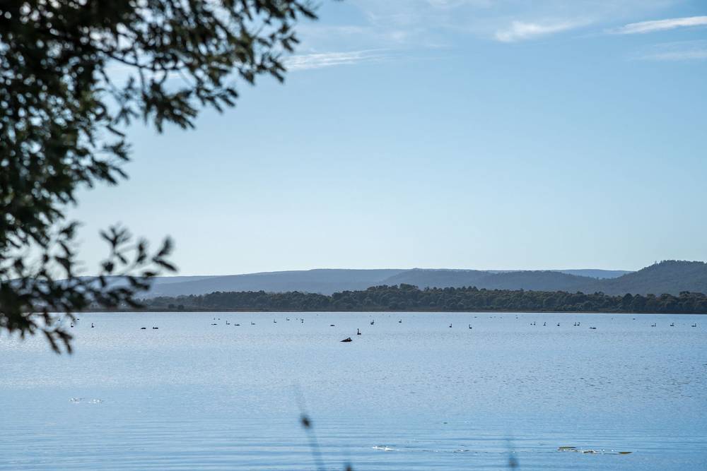 172 Woodwards Bay Road, Bradys Lake, TAS 7140