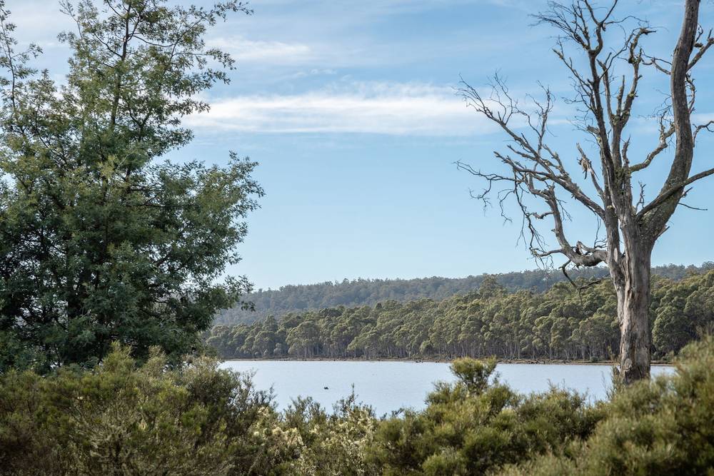 172 Woodwards Bay Road, Bradys Lake, TAS 7140