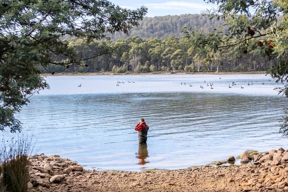 172 Woodwards Bay Road, Bradys Lake, TAS 7140