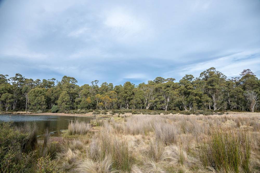172 Woodwards Bay Road, Bradys Lake, TAS 7140