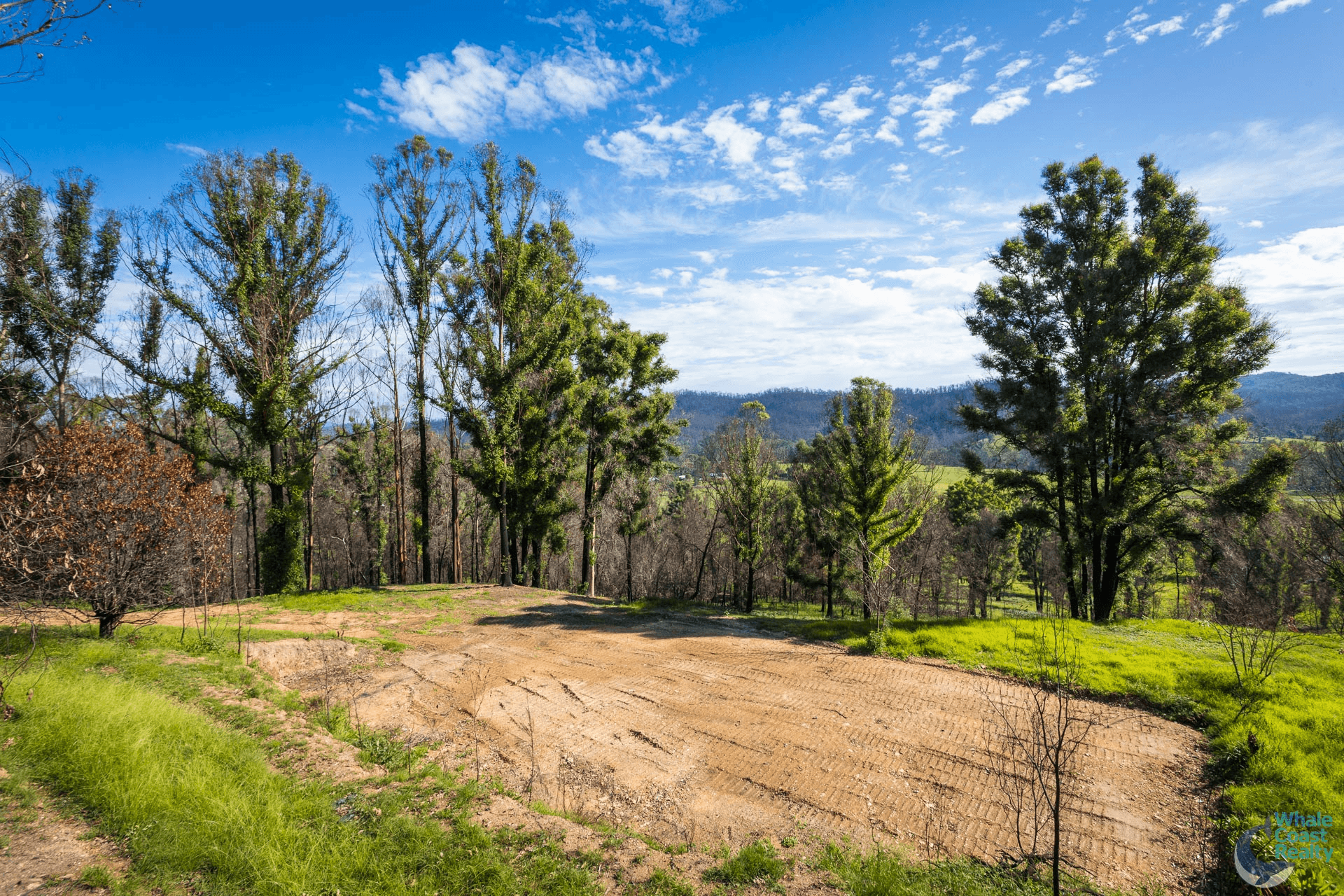 81 Waincourt Road, EUROBODALLA, NSW 2545