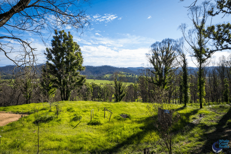 81 Waincourt Road, EUROBODALLA, NSW 2545