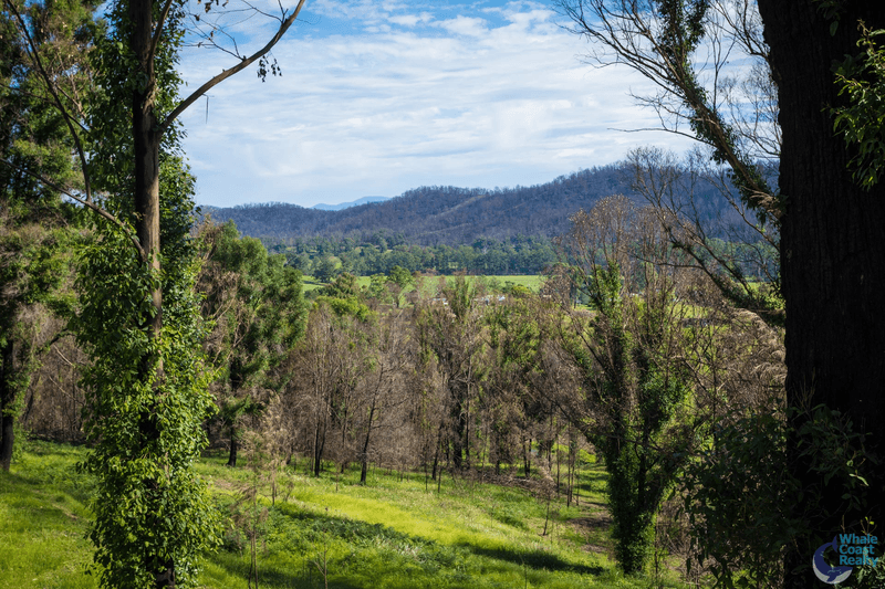 81 Waincourt Road, EUROBODALLA, NSW 2545