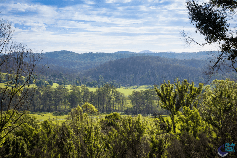 81 Waincourt Road, EUROBODALLA, NSW 2545