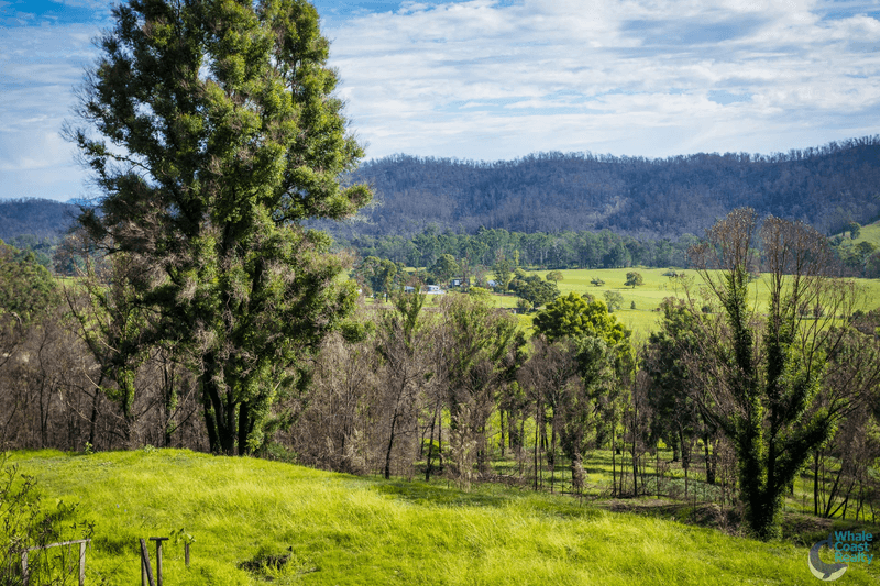 81 Waincourt Road, EUROBODALLA, NSW 2545