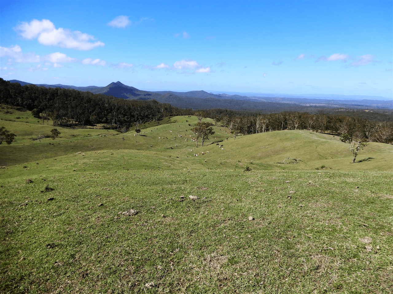 107 Freegards Road, Crediton, QLD 4757