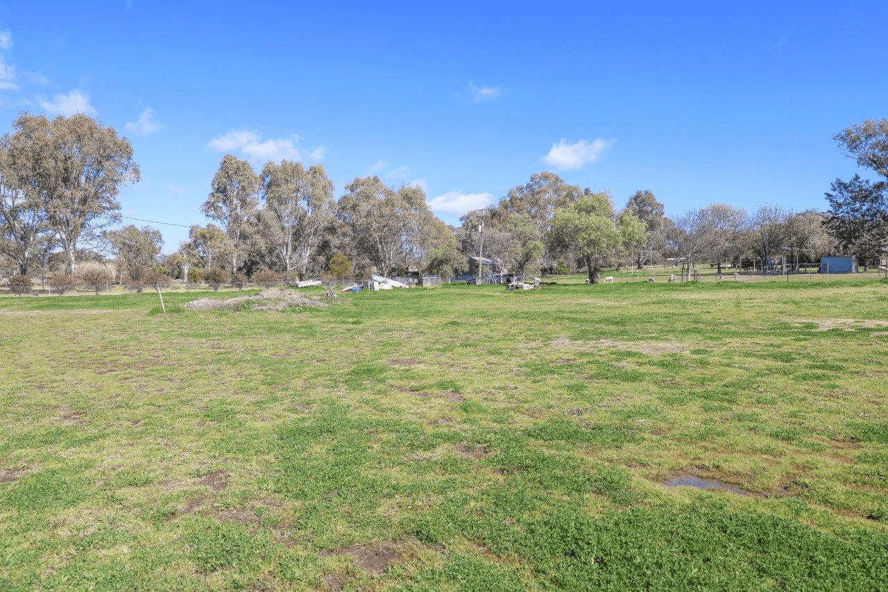 51 Spains Lane, TAMWORTH, NSW 2340