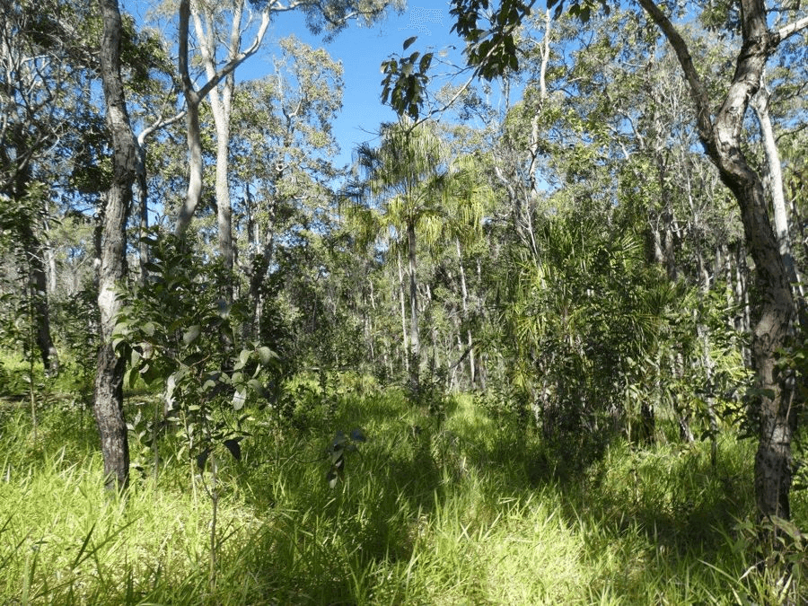 Lot 80  Mitchell Road, MOUNT MARIA, QLD 4674