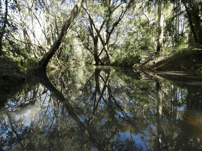 Lot 80  Mitchell Road, MOUNT MARIA, QLD 4674