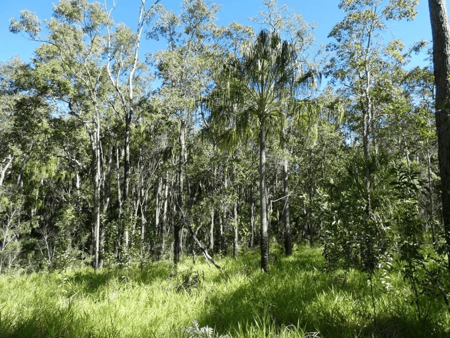 Lot 80  Mitchell Road, MOUNT MARIA, QLD 4674