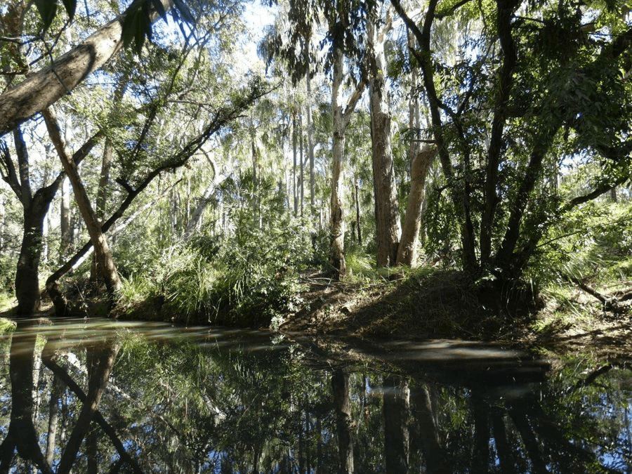 Lot 80  Mitchell Road, MOUNT MARIA, QLD 4674
