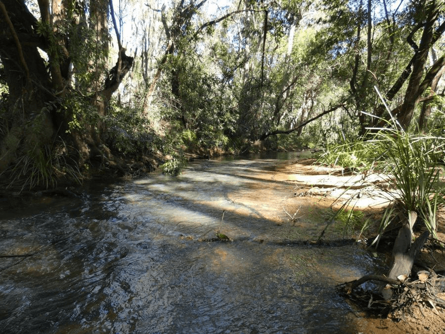 Lot 80  Mitchell Road, MOUNT MARIA, QLD 4674