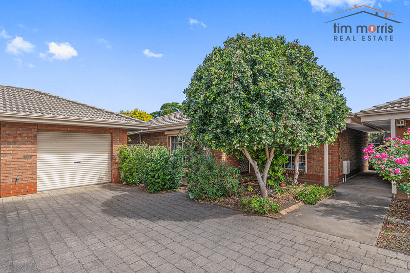 3/16 Wyatt Street, North Plympton, SA 5037