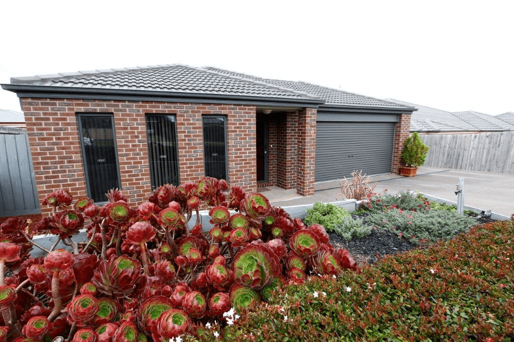 53 Reserve Road, GROVEDALE, VIC 3216