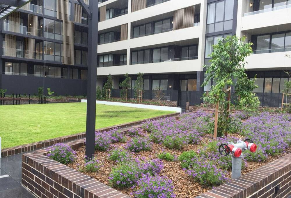 UNIT 105/14 Hilly Street, Mortlake, NSW 2137