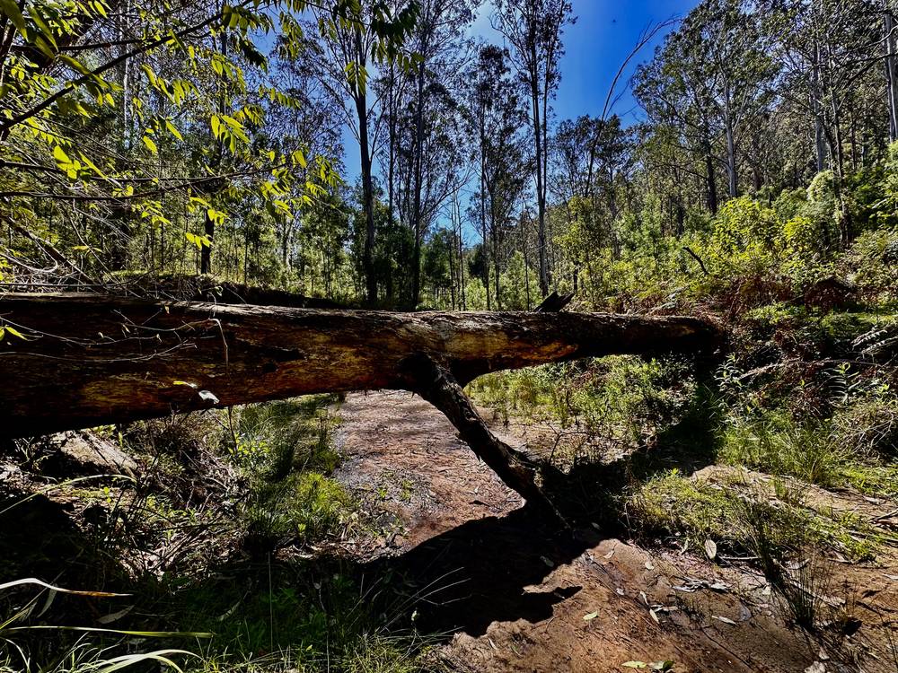 75 L3 Private Access, Laguna, NSW 2325