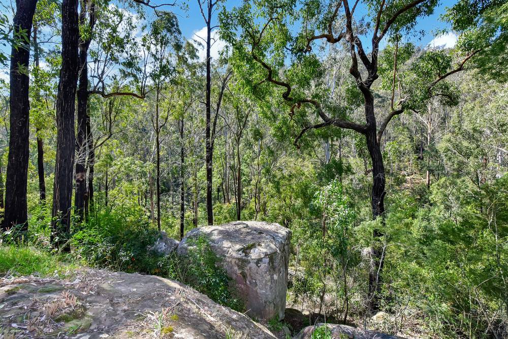 75 L3 Private Access, Laguna, NSW 2325