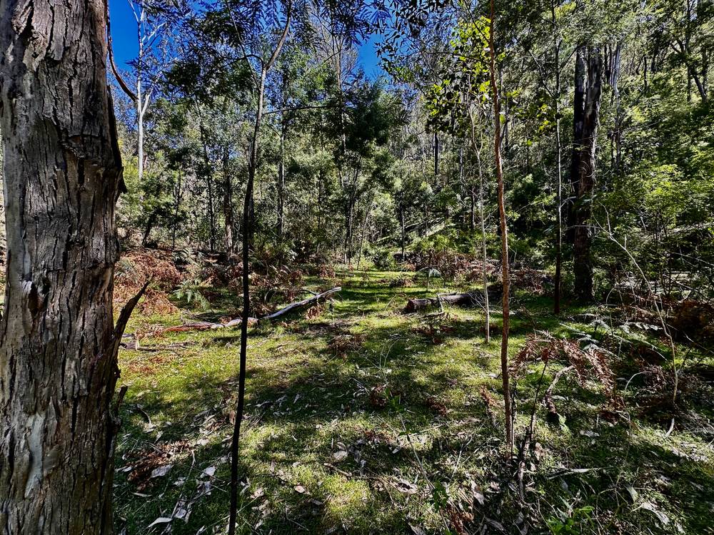 75 L3 Private Access, Laguna, NSW 2325