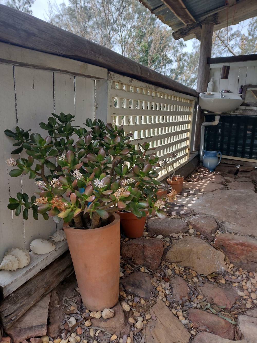 75 L3 Private Access, Laguna, NSW 2325