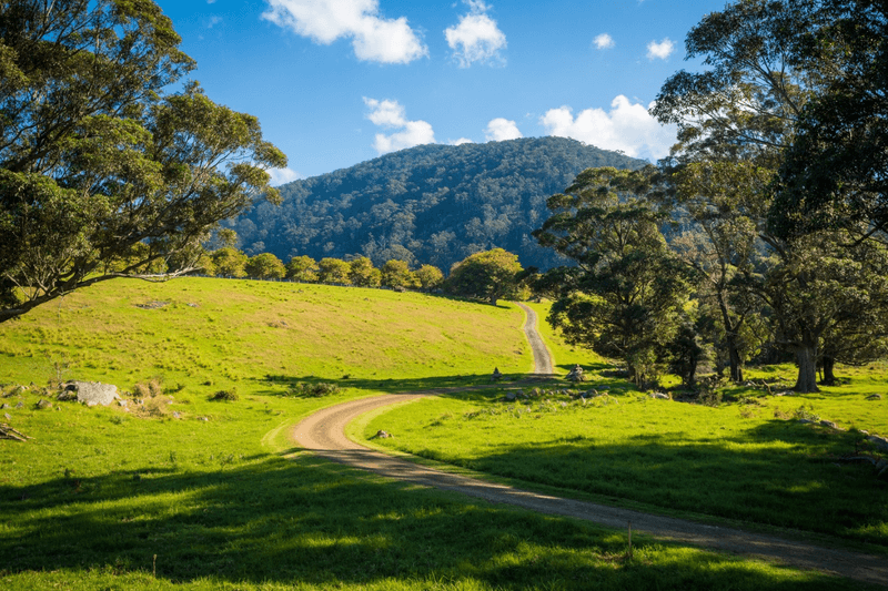 49 Mount Dromedary Trail, Tilba Tilba, NSW 2546