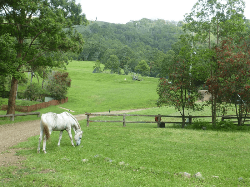 384 Jems Creek Road, Barrington Tops, NSW 2422