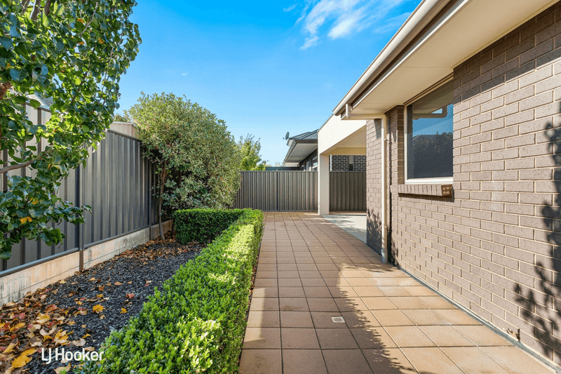 18 Rozells Avenue, LIGHTSVIEW, SA 5085