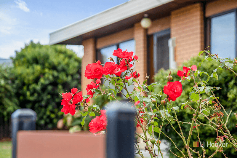 21 George Street, WYNYARD, TAS 7325