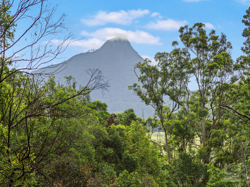 1897 kyogle Road, Terragon, NSW 2484