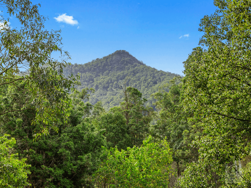 1897 kyogle Road, Terragon, NSW 2484