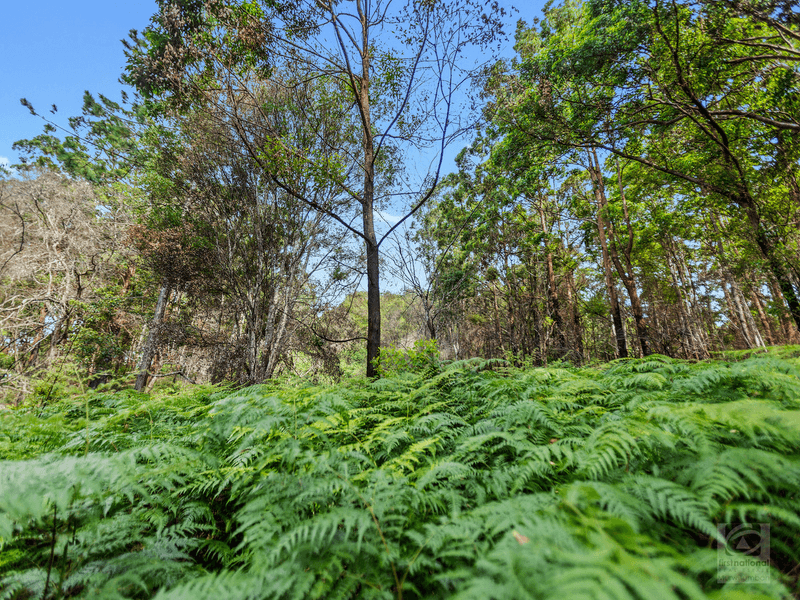 1897 kyogle Road, Terragon, NSW 2484