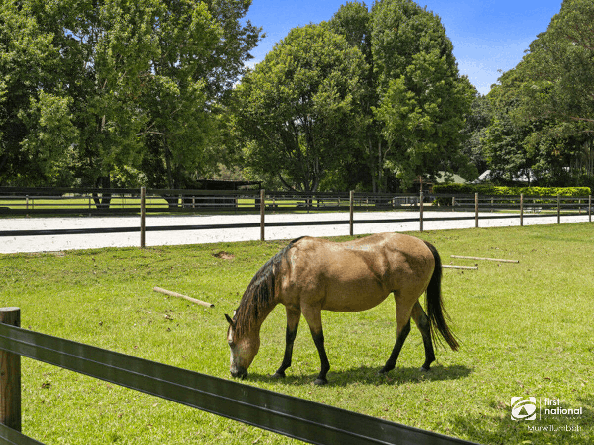 14 Adcocks Road, Stokers Siding, NSW 2484