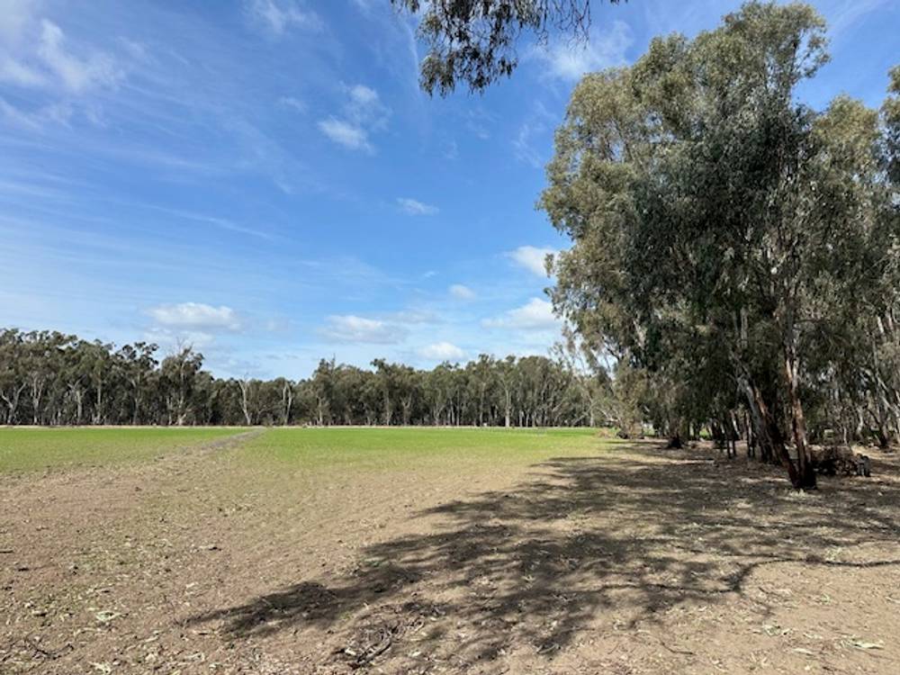 456 RIVER ROAD, GONN CROSSING, VIC 3579