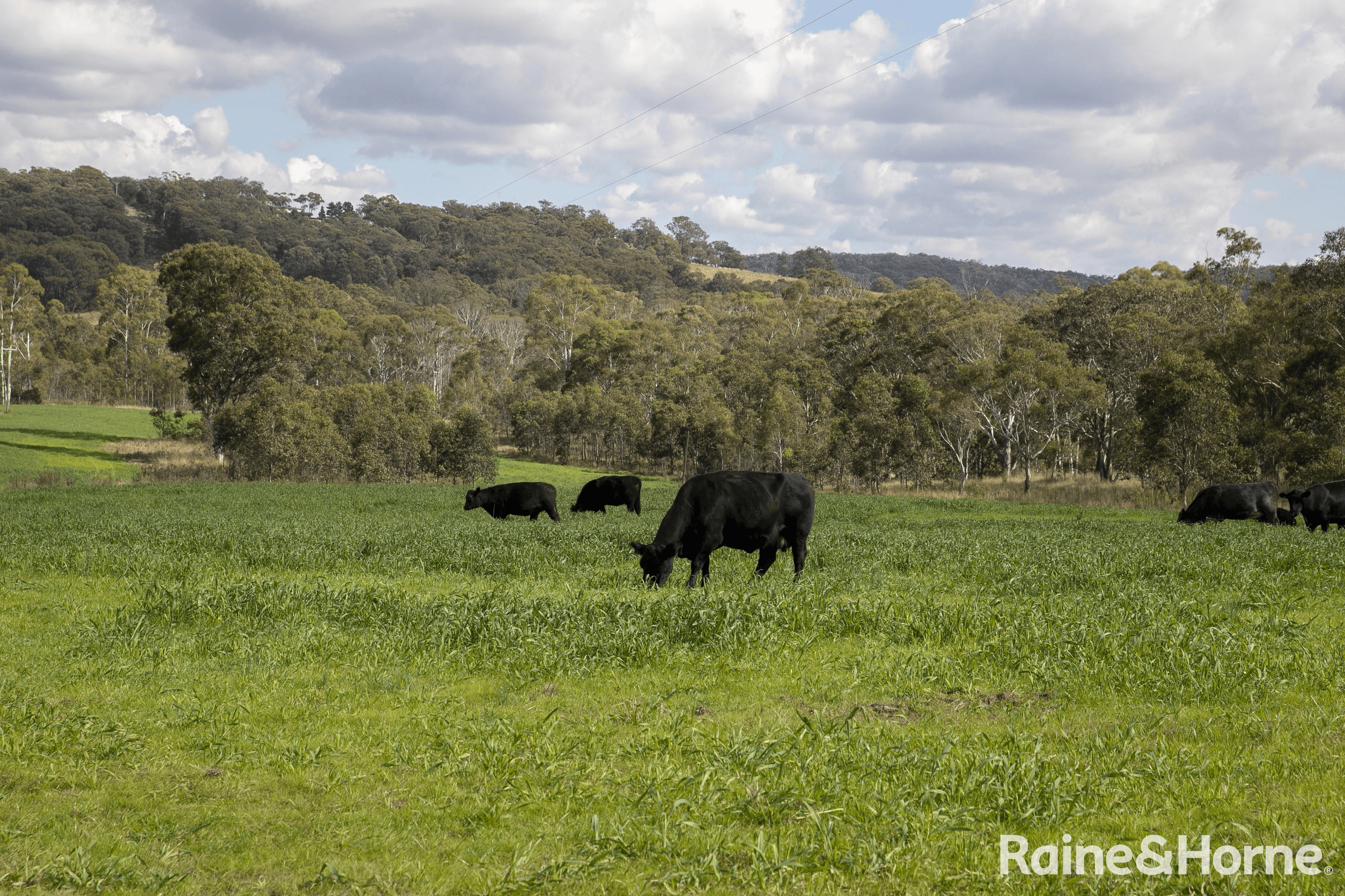 Lot 2, 2060 Brayton Road, BIG HILL, NSW 2579