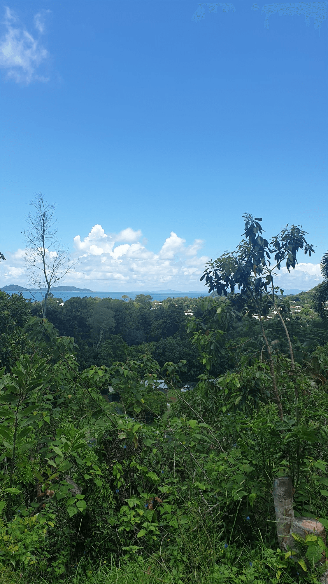 Lot 4 Boulevard, SOUTH MISSION BEACH, QLD 4852