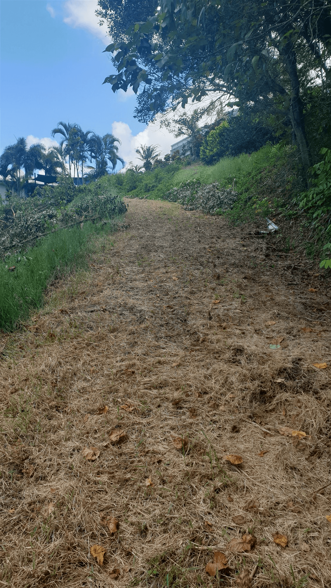 Lot 4 Boulevard, SOUTH MISSION BEACH, QLD 4852