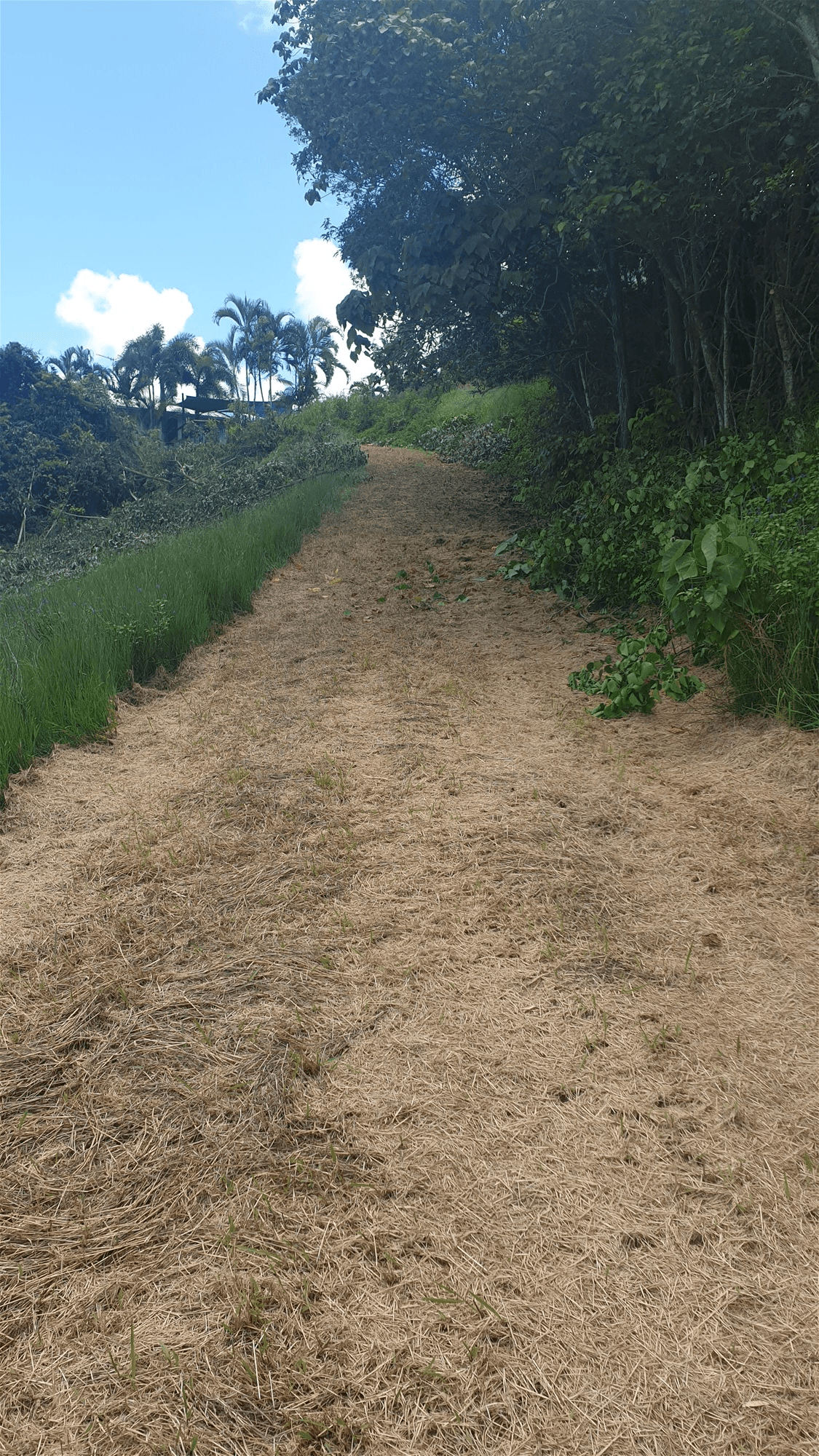 Lot 4 Boulevard, SOUTH MISSION BEACH, QLD 4852