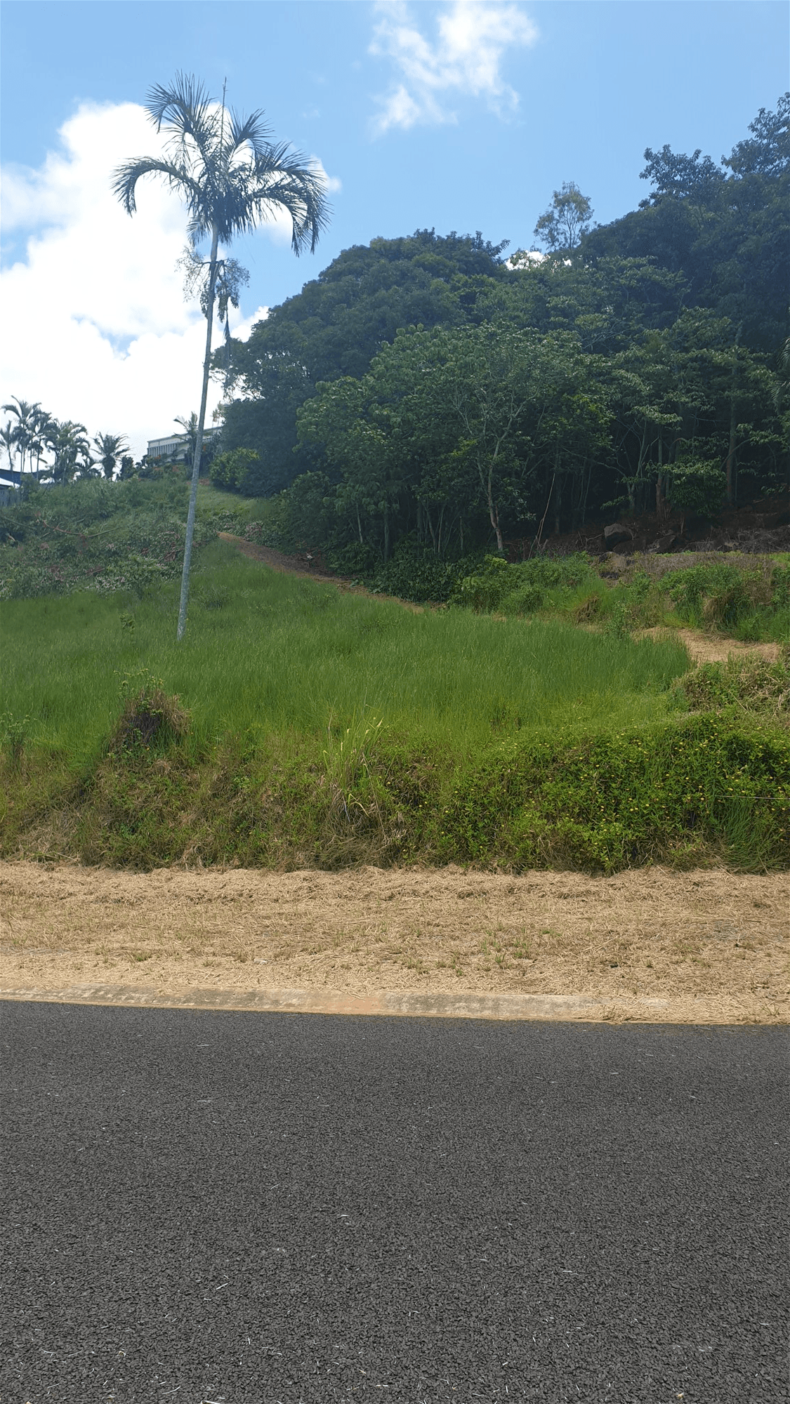 Lot 4 Boulevard, SOUTH MISSION BEACH, QLD 4852