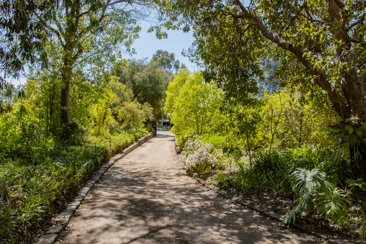 202 River Street, DENILIQUIN, NSW 2710