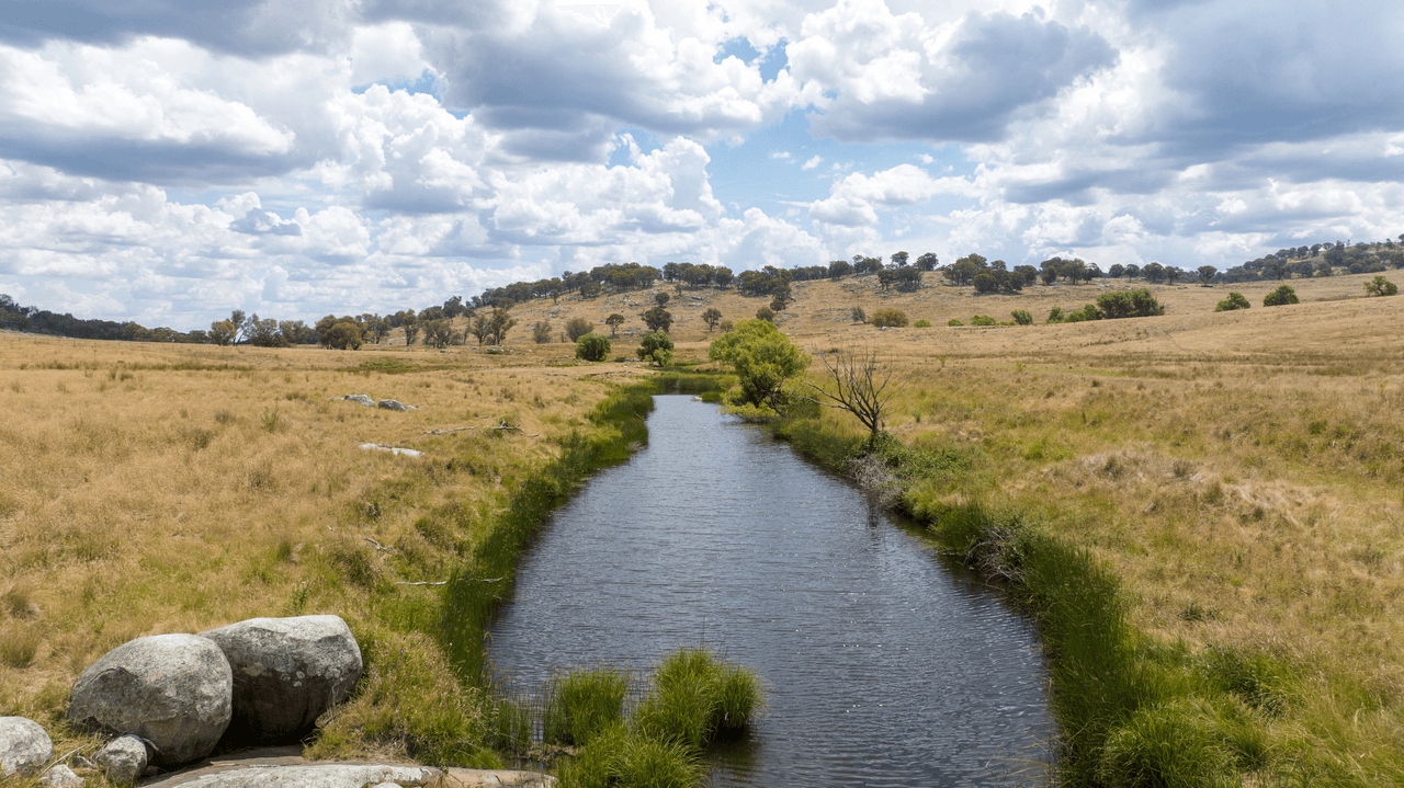 1621 Baldersleigh Road, BALDERSLEIGH, NSW 2365