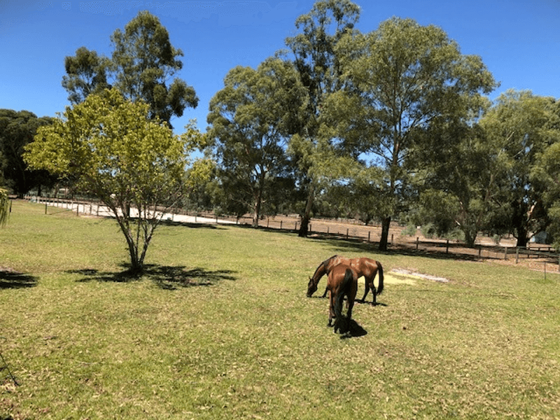 256 Hopkinson Rd, Darling Downs, WA 6122